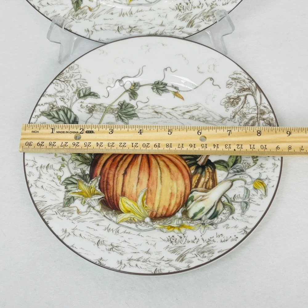 Williams Sonoma 2025 Pumpkin Salad Plates Set of 2 Harvest Gourd Toile 9 Inch